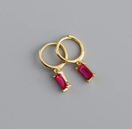 Cubic Zirconia Small Pendant Hoop Earrings For Women