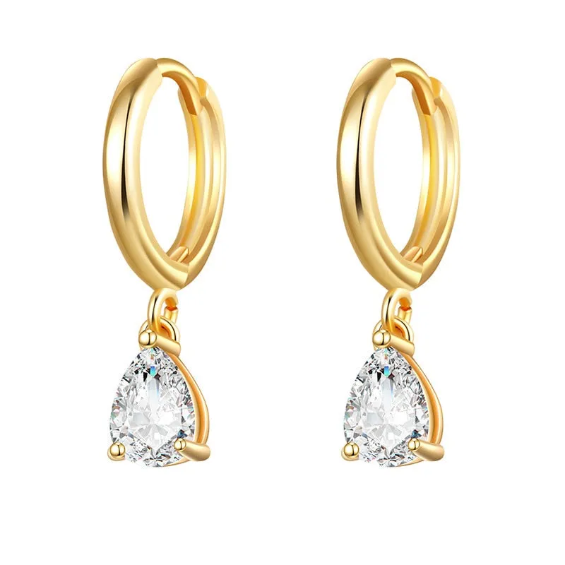 Cubic Zirconia Small Pendant Hoop Earrings For Women