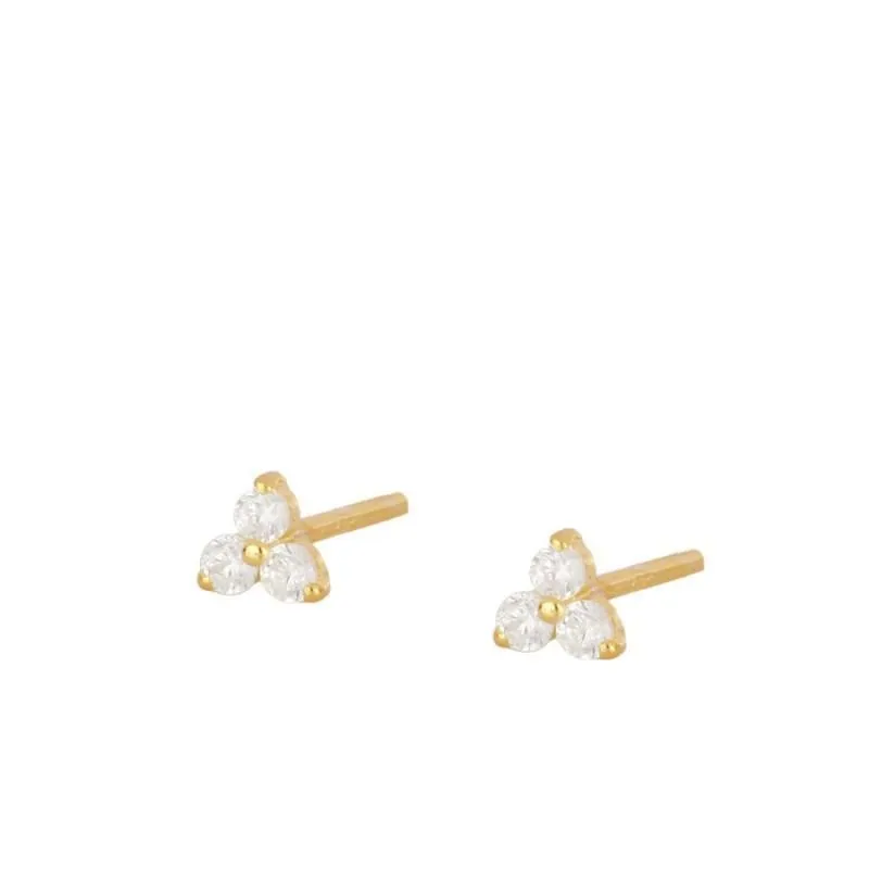Cubic Zirconia Small Pendant Hoop Earrings For Women