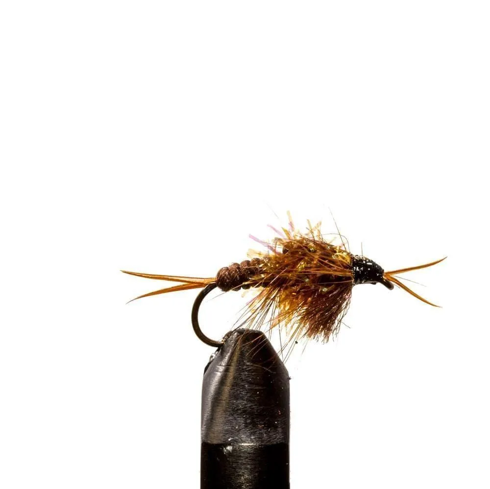 Jackson Hole Fly Company Loaded Foam Fly Box - Steelhead