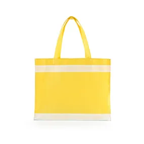 Non Woven Bag