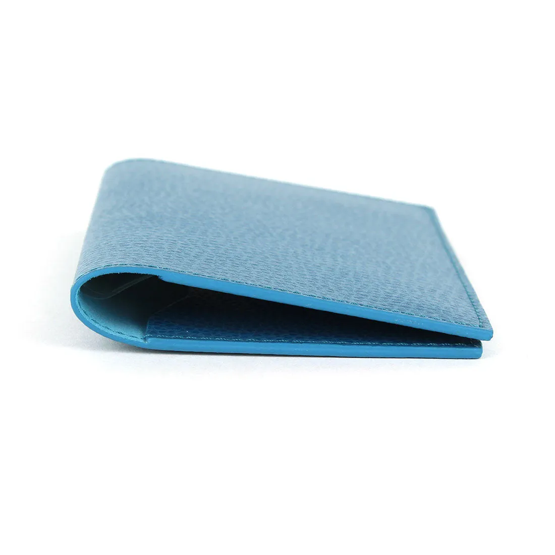 Passport/Document Holder