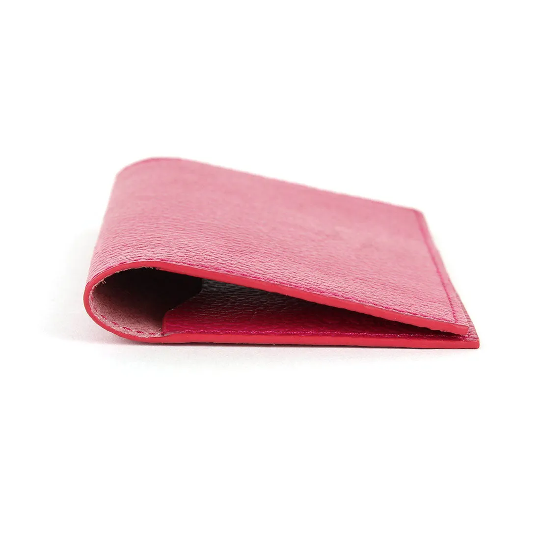 Passport/Document Holder