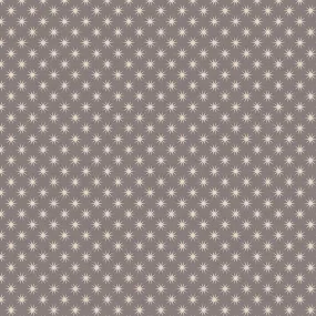 Star Studded - Grey/White