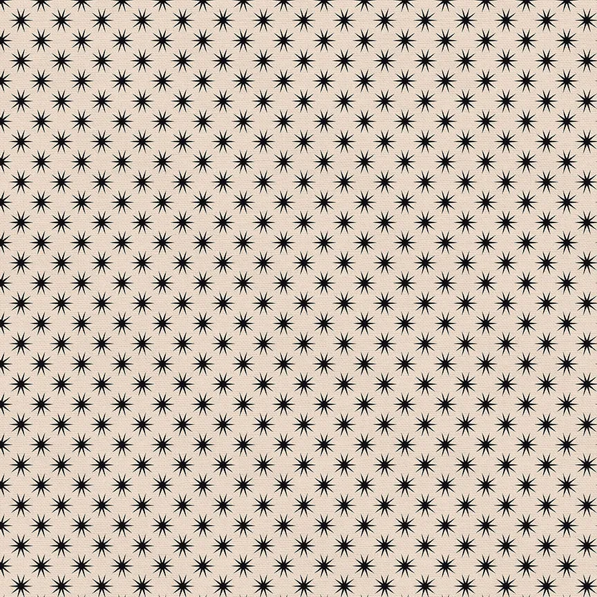 Star Studded - White/Black