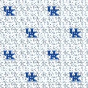 University of Kentucky Zipper Bag